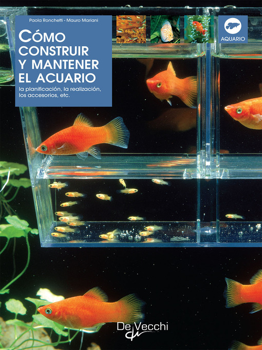Title details for Cómo construir y mantener el acuario by Paola Ronchetti - Available